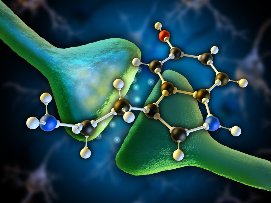 THC CBD: Serotonin.